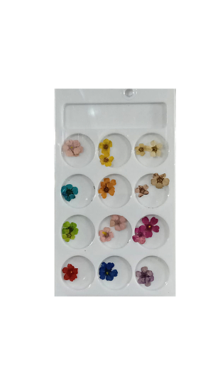 HELEN COLOR FLOR SECA C/12